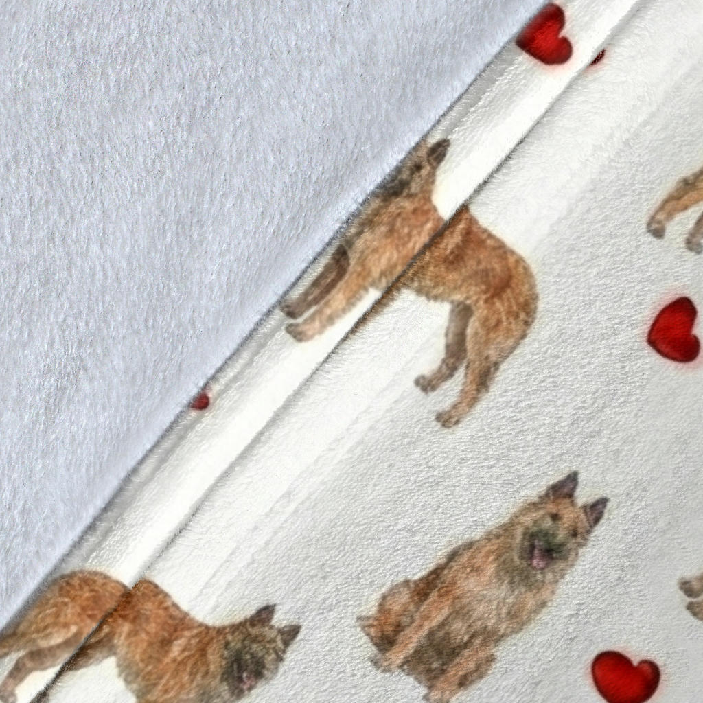 image7