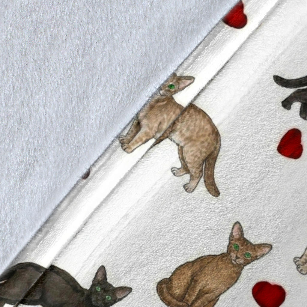 image7
